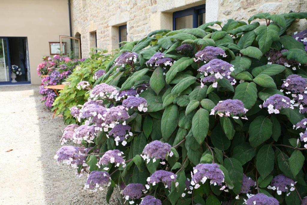 Hotel - Restaurant L'Hortensia Noyalo エクステリア 写真